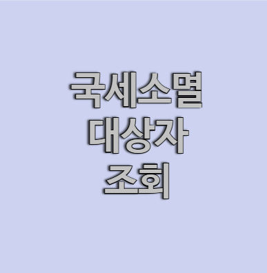 국세소멸대상자 조회